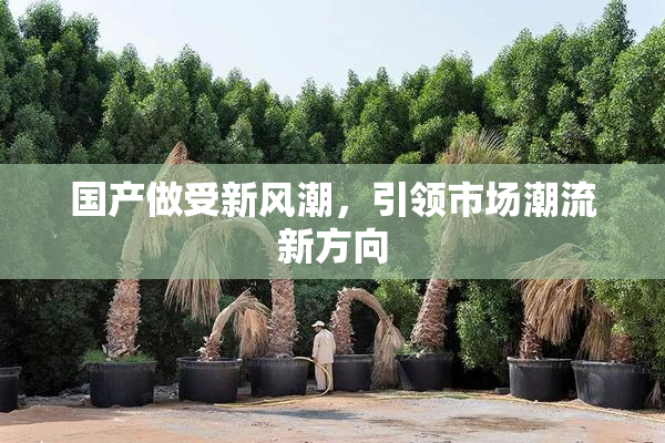 国产做受新风潮，引领市场潮流新方向