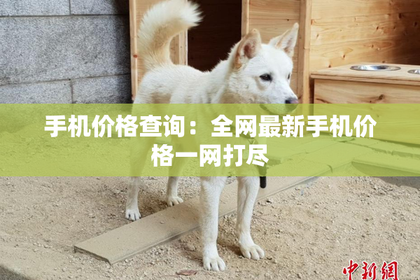 手机价格查询：全网最新手机价格一网打尽