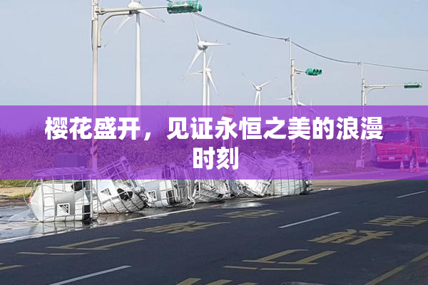 樱花盛开，见证永恒之美的浪漫时刻