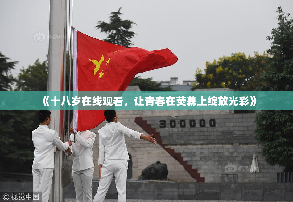 《十八岁在线观看，让青春在荧幕上绽放光彩》