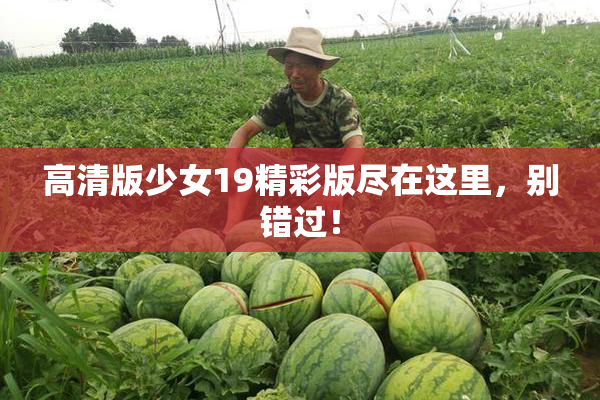 高清版少女19精彩版尽在这里，别错过！