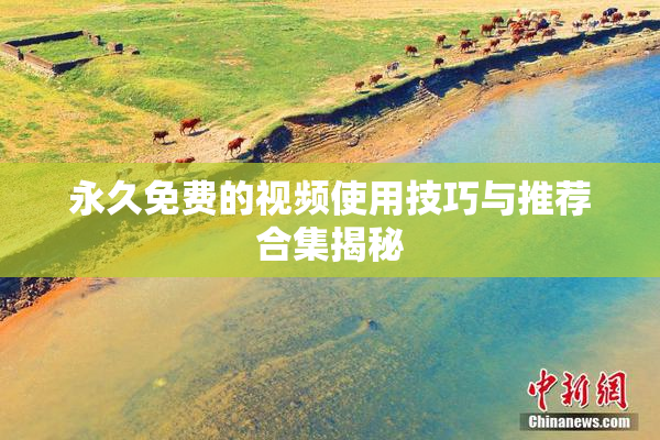永久免费的视频使用技巧与推荐合集揭秘