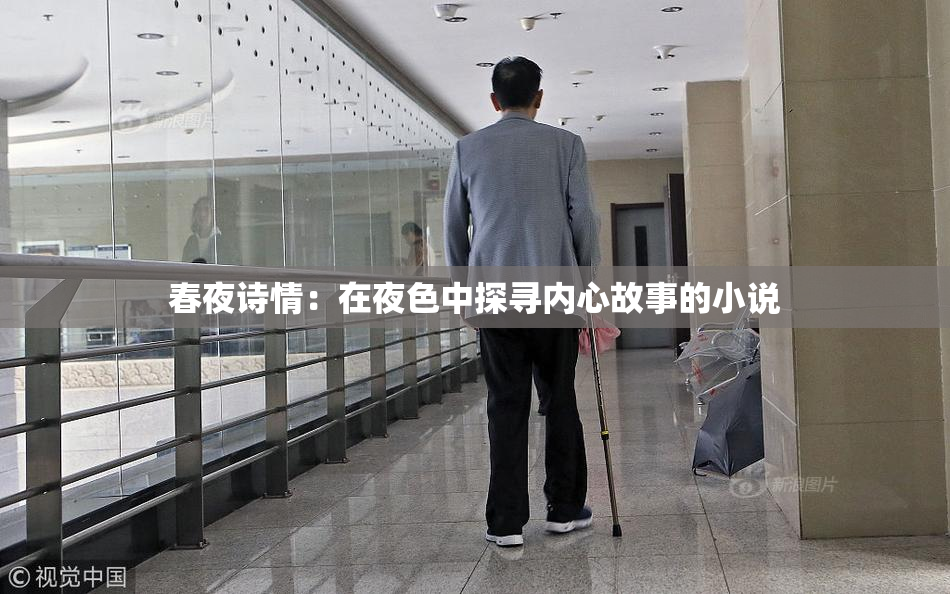 春夜诗情：在夜色中探寻内心故事的小说