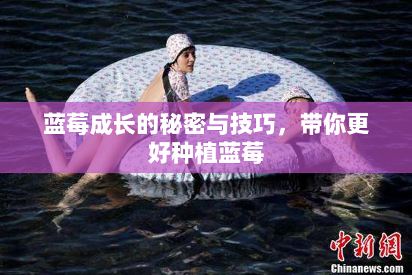 蓝莓成长的秘密与技巧，带你更好种植蓝莓