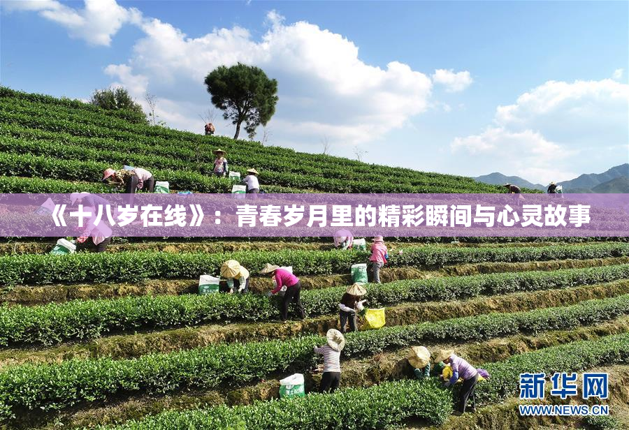 《十八岁在线》：青春岁月里的精彩瞬间与心灵故事
