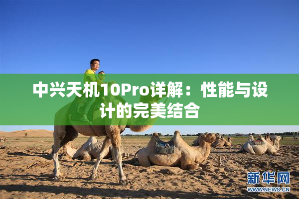 中兴天机10Pro详解：性能与设计的完美结合