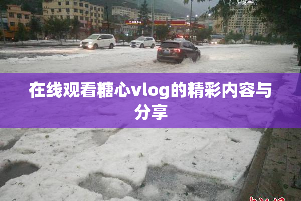 在线观看糖心vlog的精彩内容与分享