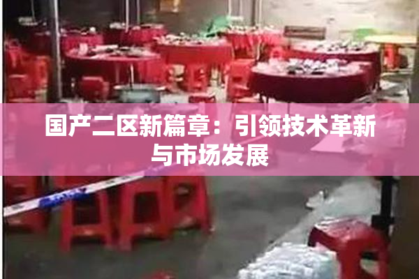 国产二区新篇章：引领技术革新与市场发展