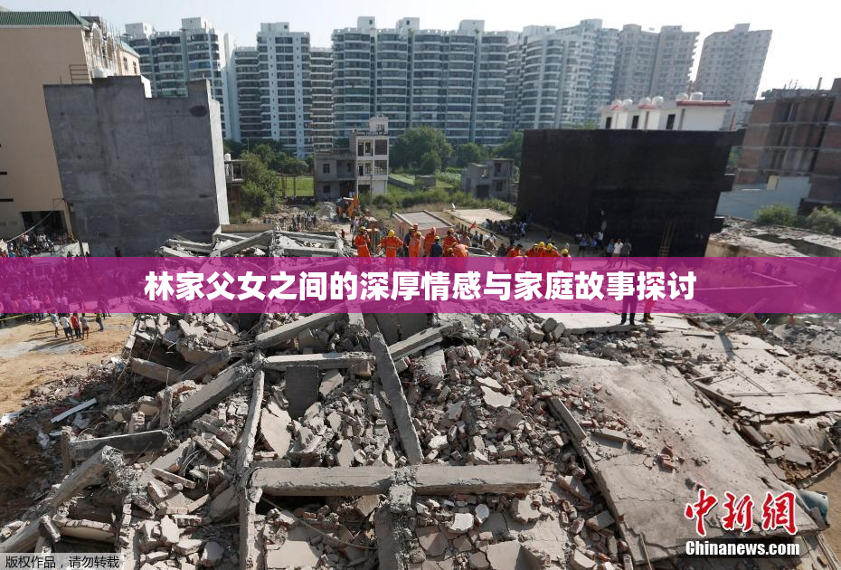 林家父女之间的深厚情感与家庭故事探讨