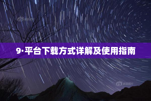 9·平台下载方式详解及使用指南