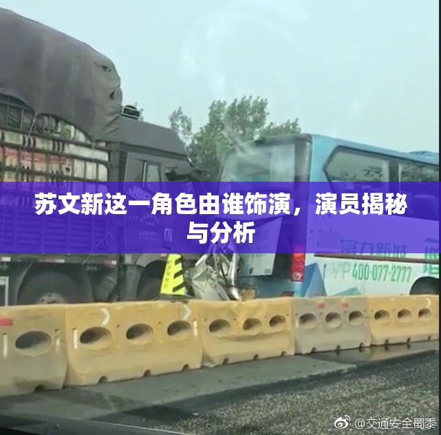 苏文新这一角色由谁饰演，演员揭秘与分析