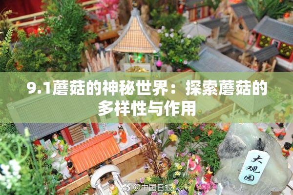 9.1蘑菇的神秘世界：探索蘑菇的多样性与作用