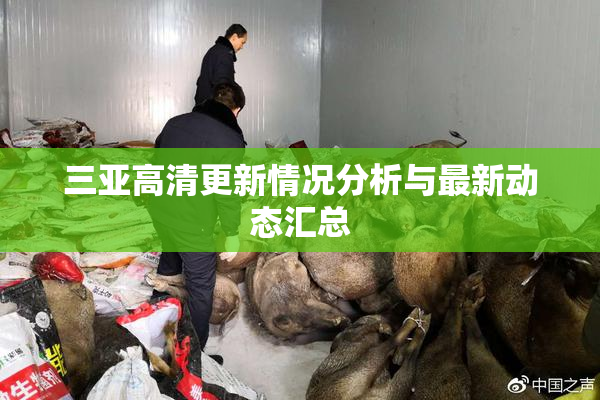 三亚高清更新情况分析与最新动态汇总
