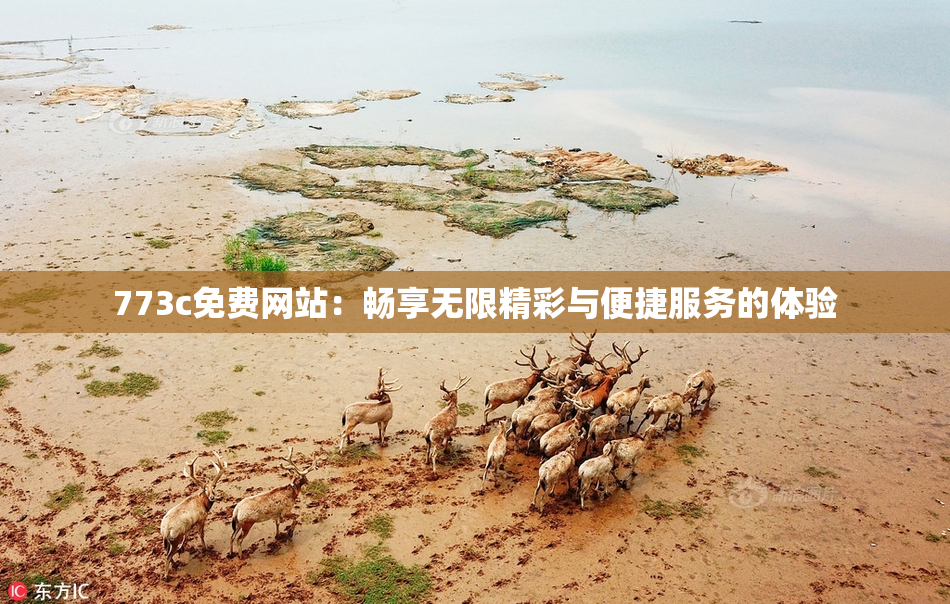 773c免费网站：畅享无限精彩与便捷服务的体验
