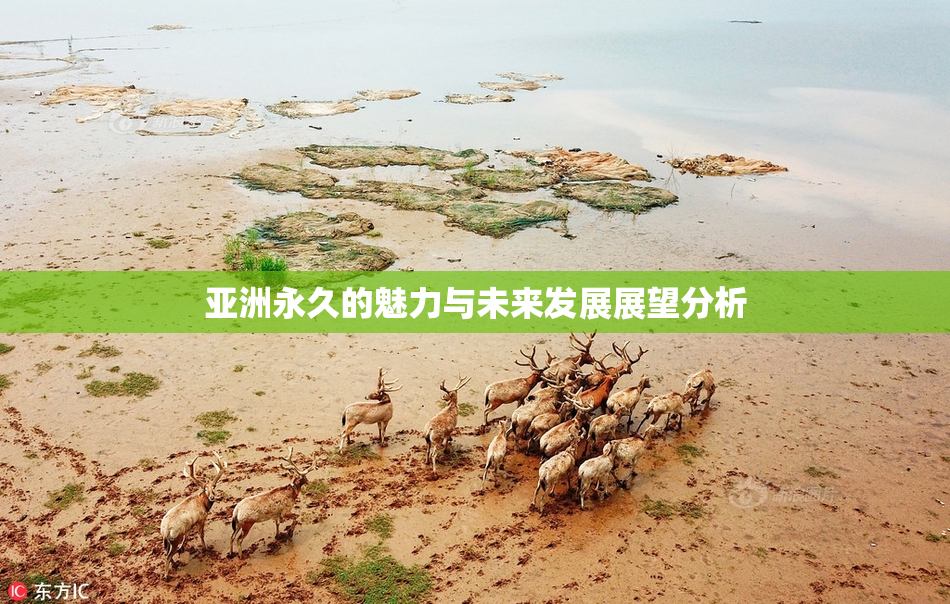 亚洲永久的魅力与未来发展展望分析