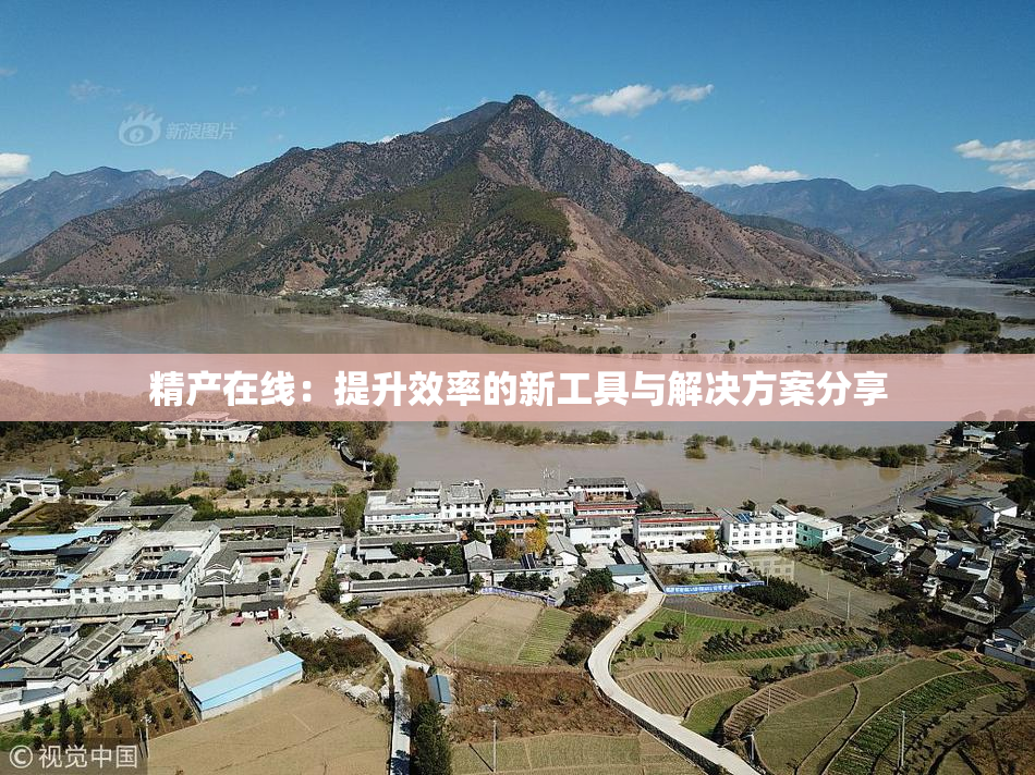 精产在线：提升效率的新工具与解决方案分享
