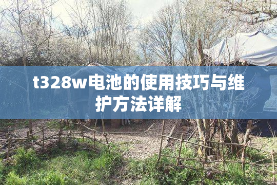 t328w电池的使用技巧与维护方法详解