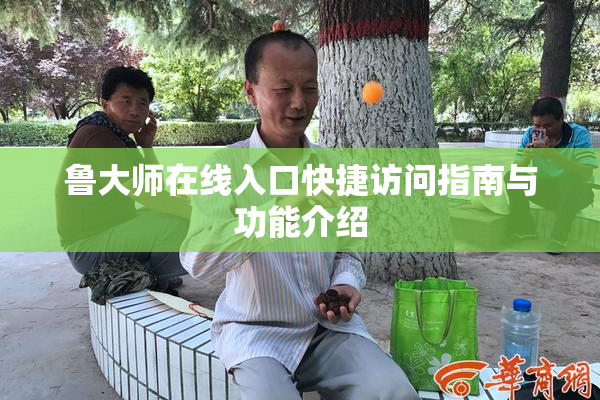 鲁大师在线入口快捷访问指南与功能介绍