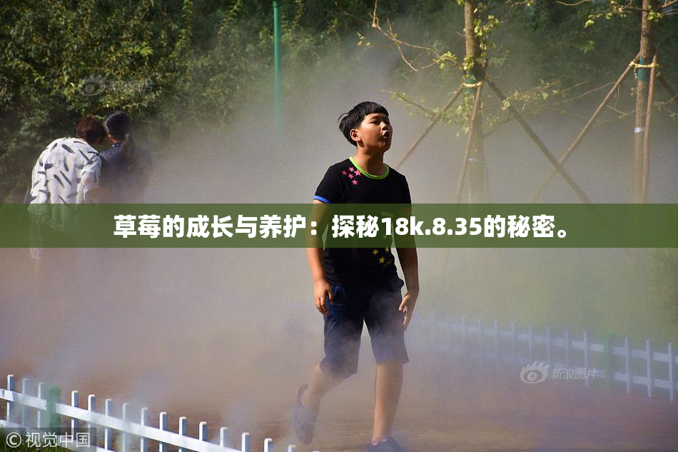 草莓的成长与养护：探秘18k.8.35的秘密。