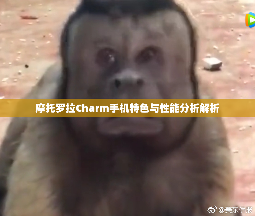 摩托罗拉Charm手机特色与性能分析解析