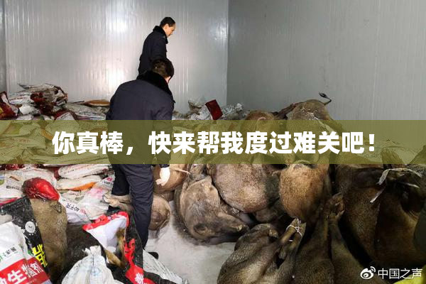 你真棒，快来帮我度过难关吧！