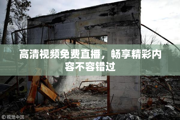 高清视频免费直播，畅享精彩内容不容错过