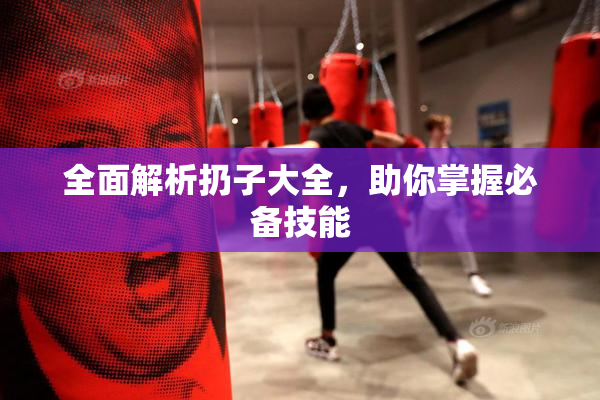 全面解析扔子大全，助你掌握必备技能