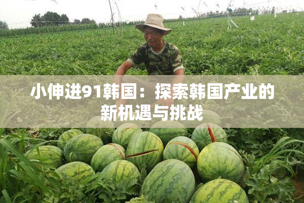 小伸进91韩国：探索韩国产业的新机遇与挑战