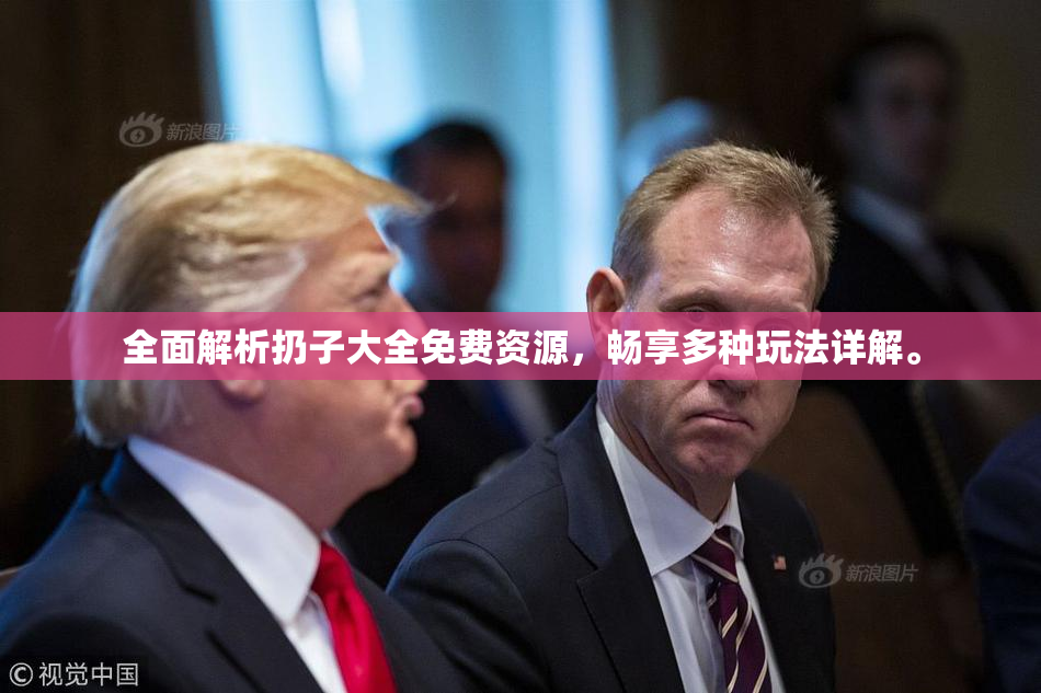 全面解析扔子大全免费资源，畅享多种玩法详解。
