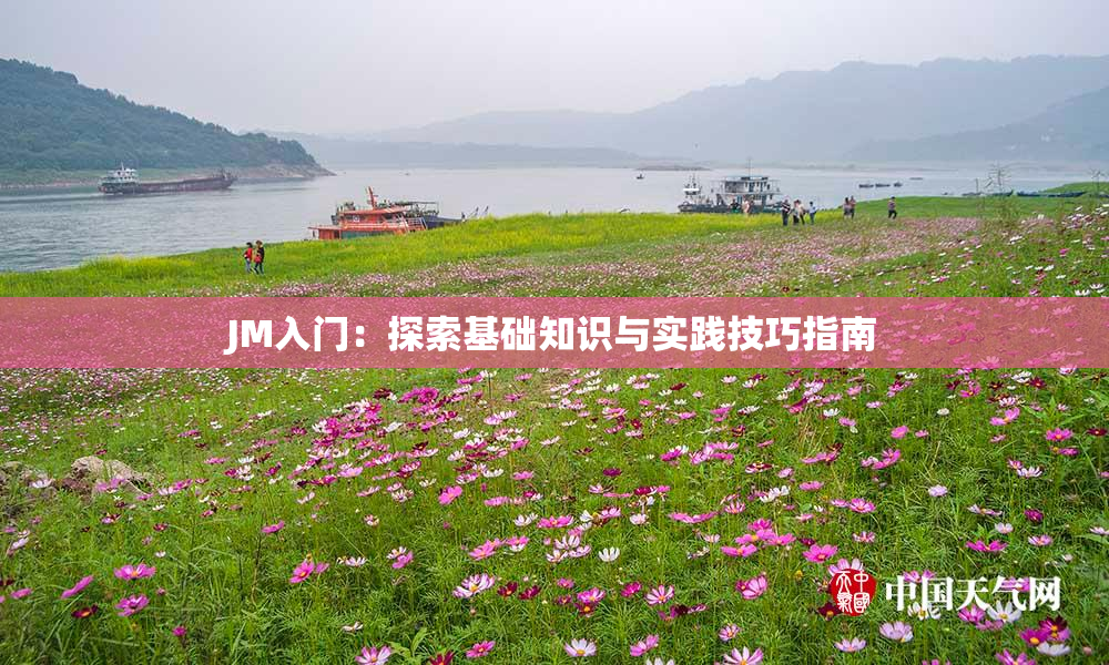 JM入门：探索基础知识与实践技巧指南