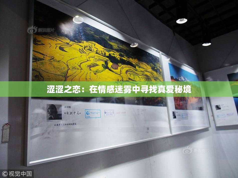 涩涩之恋：在情感迷雾中寻找真爱秘境