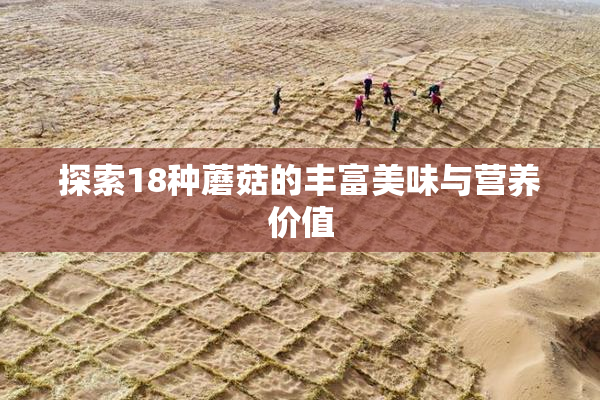 探索18种蘑菇的丰富美味与营养价值