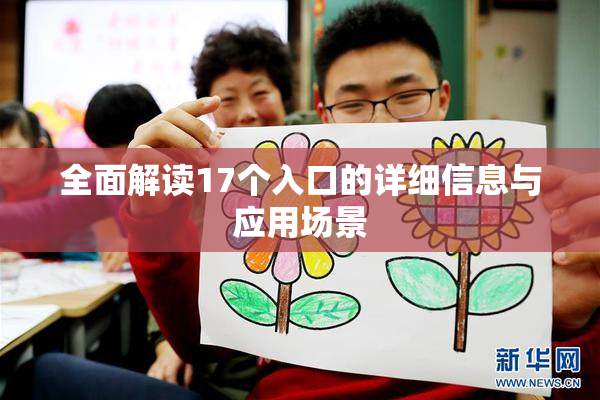 全面解读17个入口的详细信息与应用场景