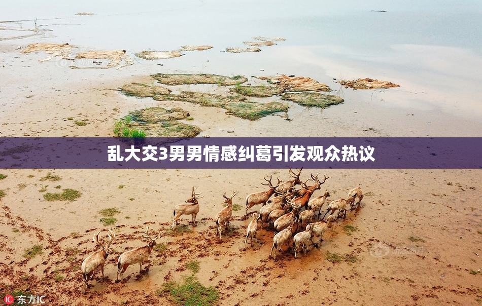 乱大交3男男情感纠葛引发观众热议