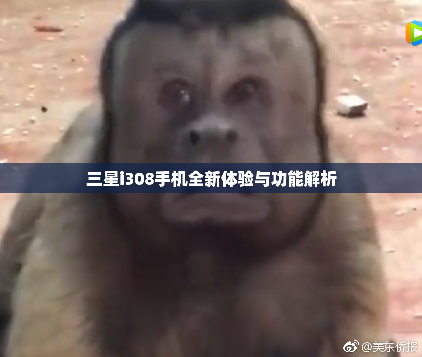 三星i308手机全新体验与功能解析