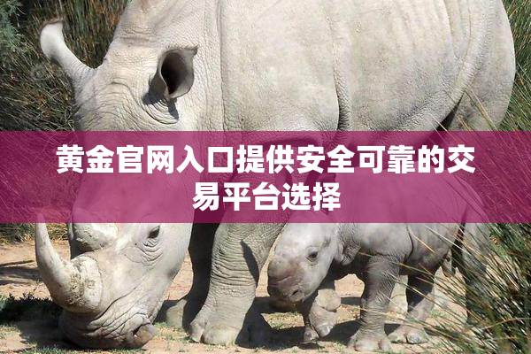 黄金官网入口提供安全可靠的交易平台选择