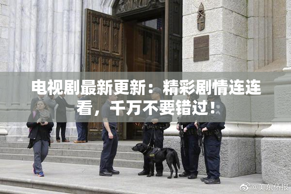 电视剧最新更新：精彩剧情连连看，千万不要错过！