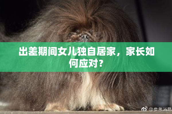 出差期间女儿独自居家，家长如何应对？