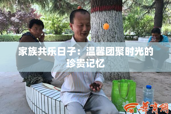 家族共乐日子：温馨团聚时光的珍贵记忆