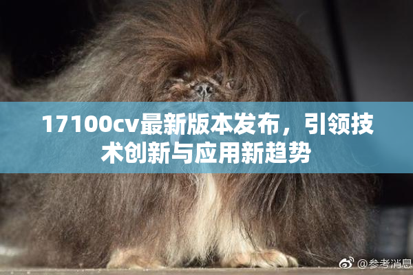 17100cv最新版本发布，引领技术创新与应用新趋势