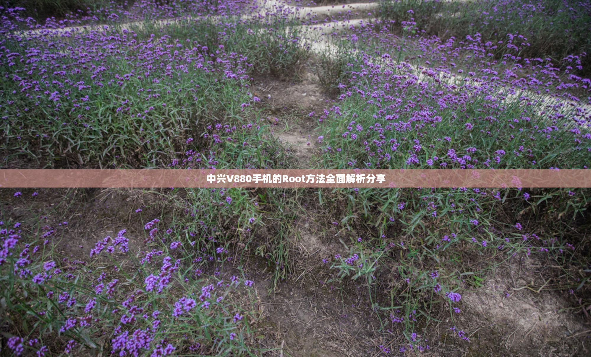 中兴V880手机的Root方法全面解析分享