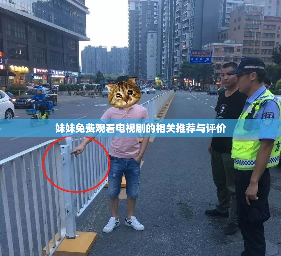 妹妹免费观看电视剧的相关推荐与评价