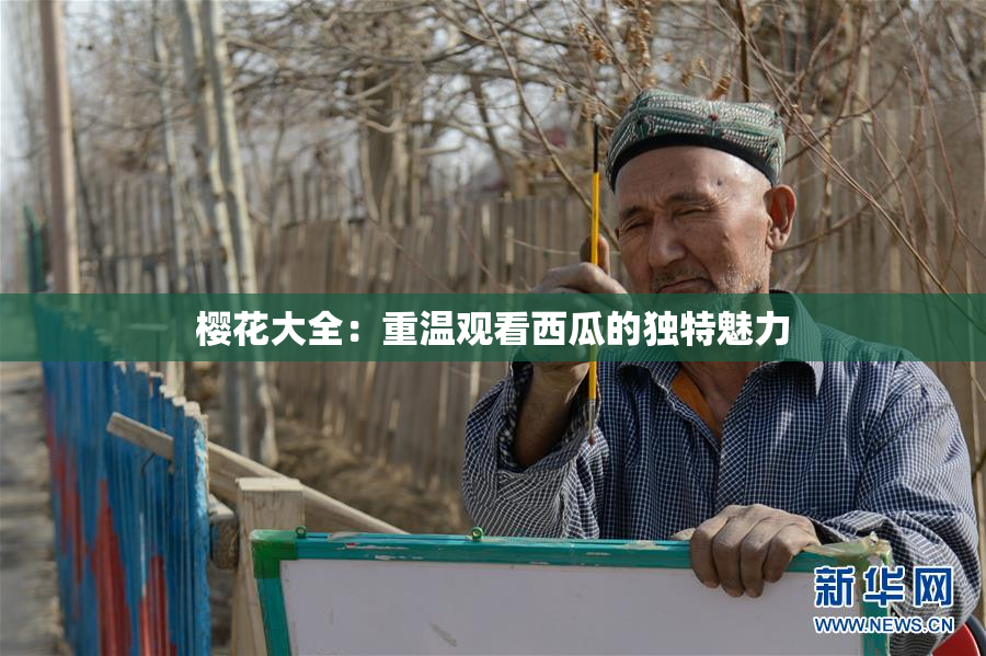 樱花大全：重温观看西瓜的独特魅力