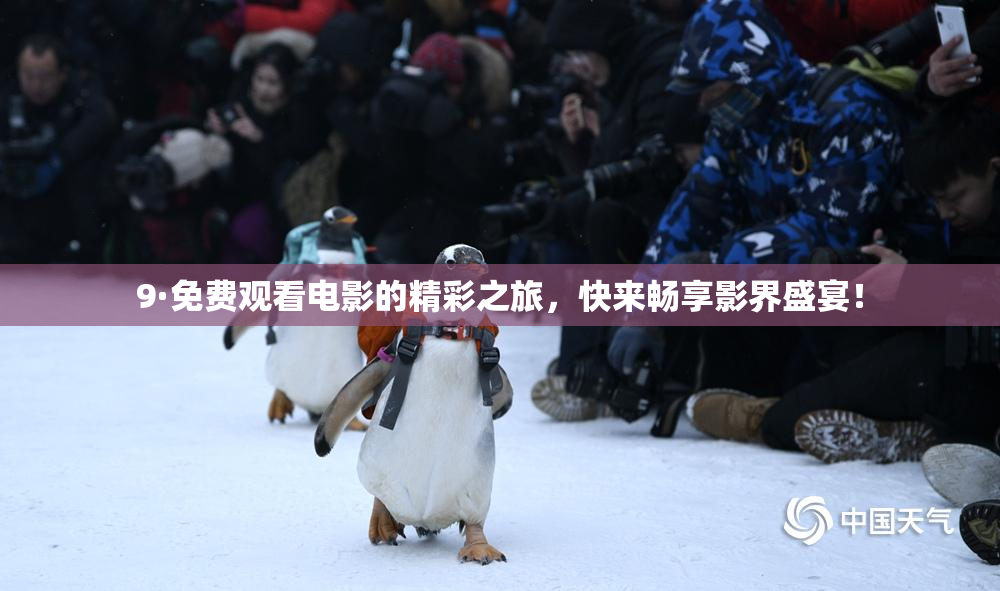 9·免费观看电影的精彩之旅，快来畅享影界盛宴！