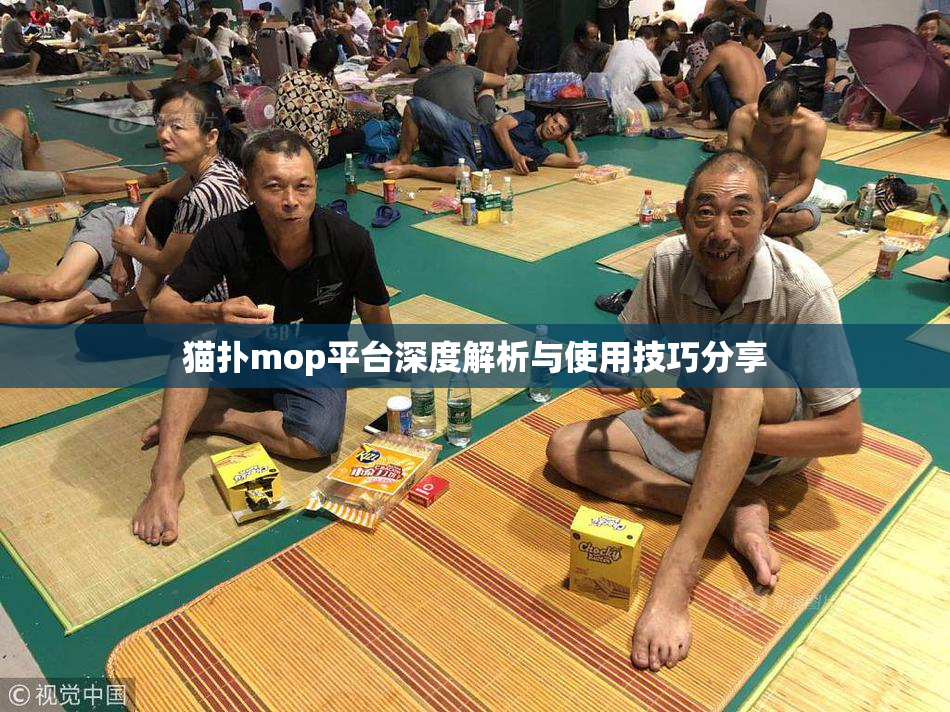 猫扑mop平台深度解析与使用技巧分享