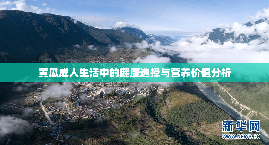 黄瓜成人生活中的健康选择与营养价值分析
