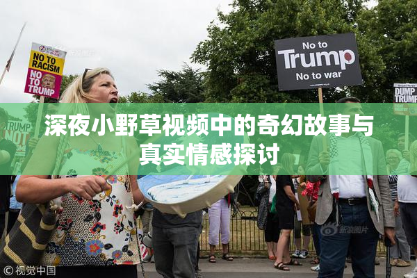 深夜小野草视频中的奇幻故事与真实情感探讨