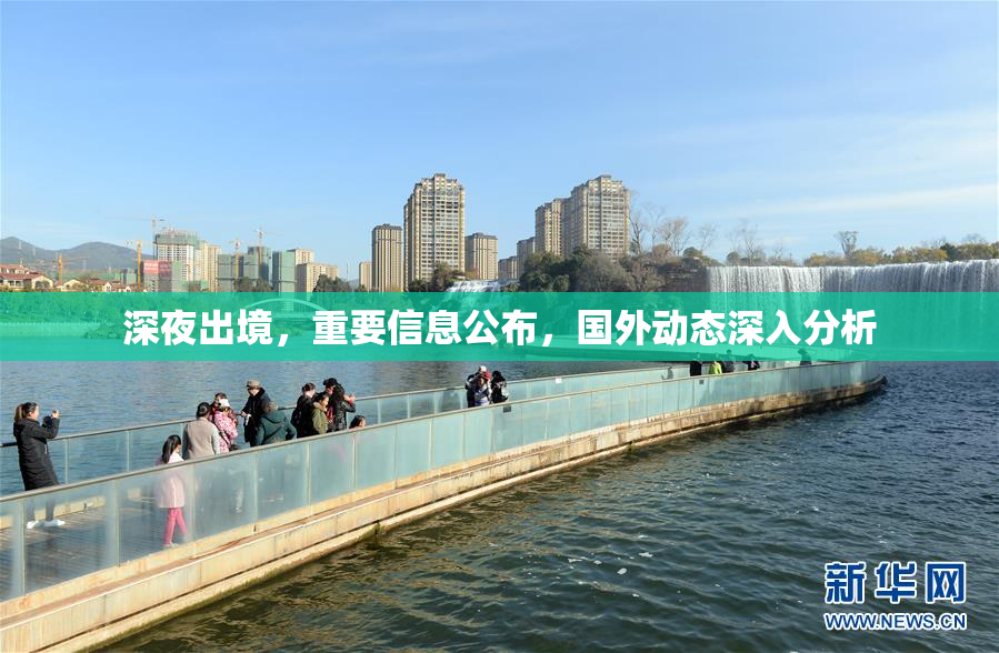 深夜出境，重要信息公布，国外动态深入分析