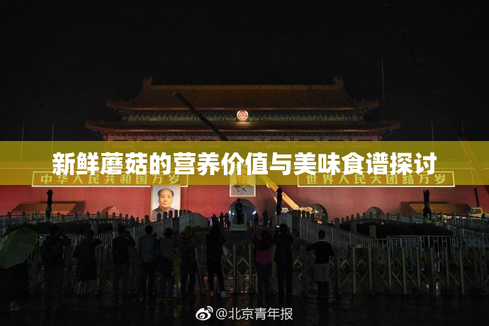 新鲜蘑菇的营养价值与美味食谱探讨