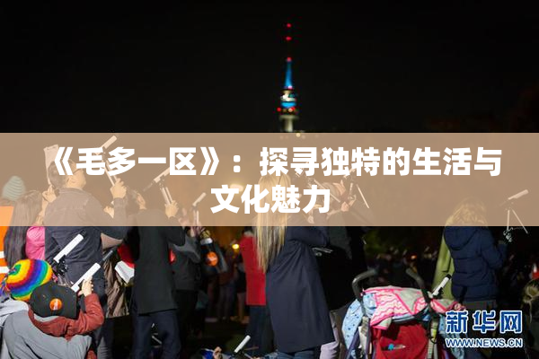 《毛多一区》：探寻独特的生活与文化魅力